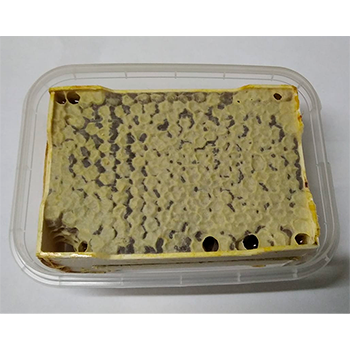 Мёд сотовый Акациевый в секционных рамках в контейнере фото 1