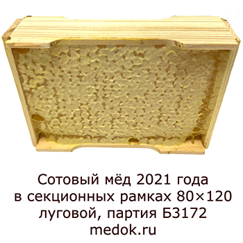 Мёд сотовый Луговой в секционных рамках фото 3